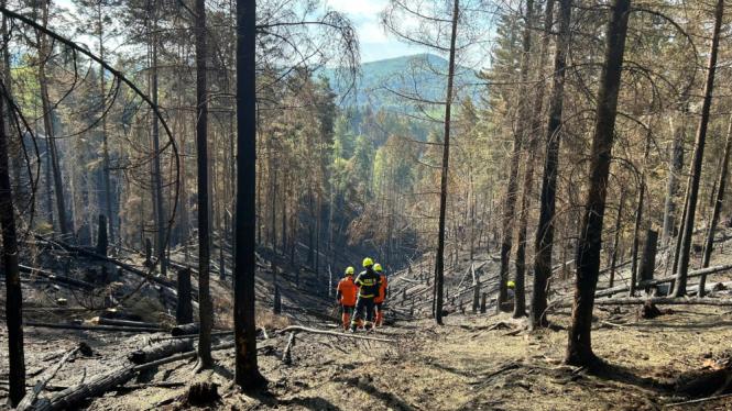 Hasiči pomocí nákladních dronů uklízeli hadice z míst po požáru v Českém Švýcarsku